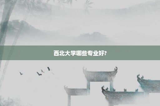 西北大学哪些专业好?