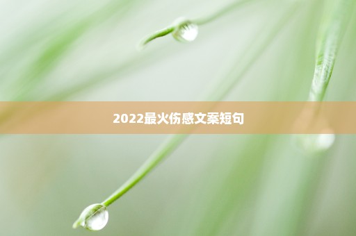 2022最火伤感文案短句