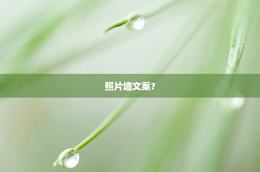 照片墙文案？