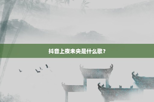 抖音上夜未央是什么歌？