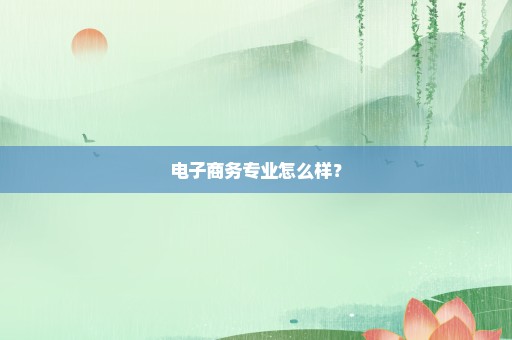 电子商务专业怎么样？