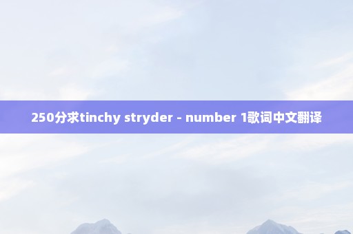 250分求tinchy stryder - number 1歌词中文翻译