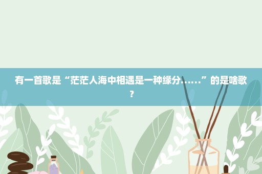 有一首歌是“茫茫人海中相遇是一种缘分……”的是啥歌？