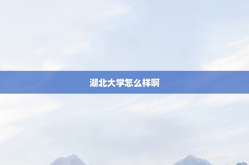 湖北大学怎么样啊