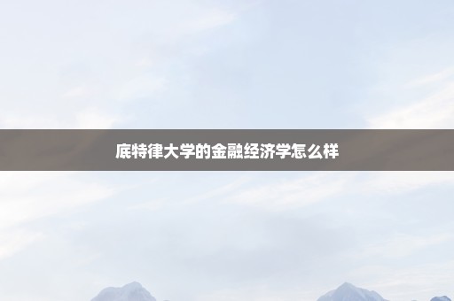 底特律大学的金融经济学怎么样