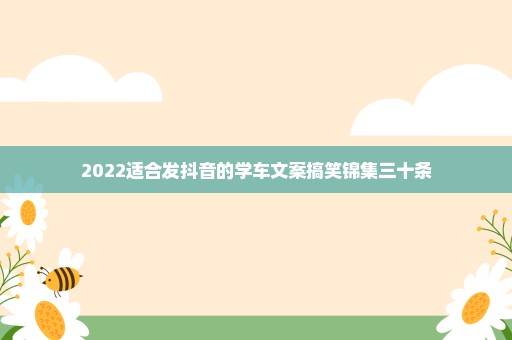 2022适合发抖音的学车文案搞笑锦集三十条