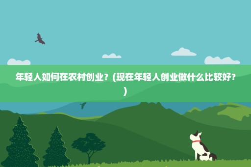 年轻人如何在农村创业？(现在年轻人创业做什么比较好？)