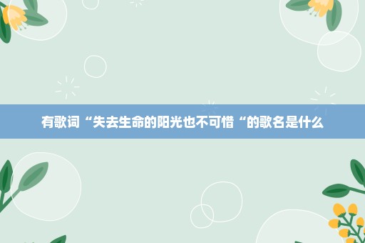 有歌词“失去生命的阳光也不可惜“的歌名是什么