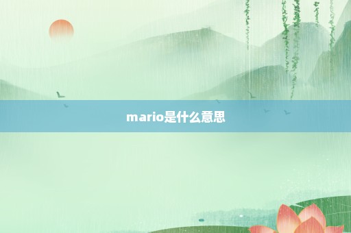 mario是什么意思