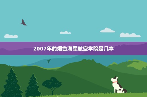 2007年的烟台海军航空学院是几本