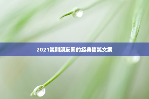 2021笑翻朋友圈的经典搞笑文案