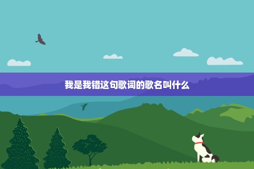 我是我错这句歌词的歌名叫什么