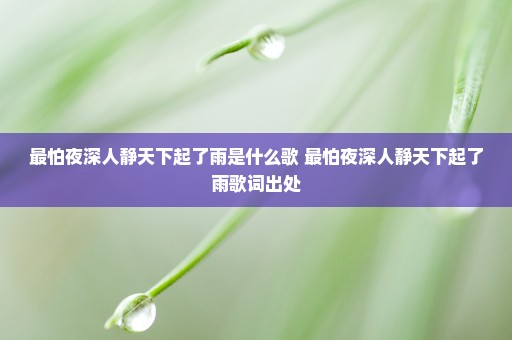 最怕夜深人静天下起了雨是什么歌 最怕夜深人静天下起了雨歌词出处