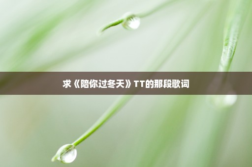 求《陪你过冬天》TT的那段歌词