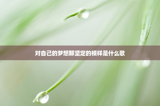 对自己的梦想那坚定的模样是什么歌