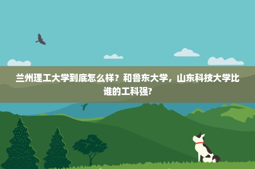 兰州理工大学到底怎么样？和鲁东大学，山东科技大学比谁的工科强?