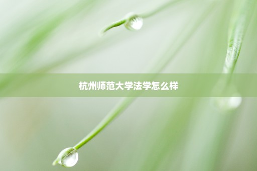 杭州师范大学法学怎么样