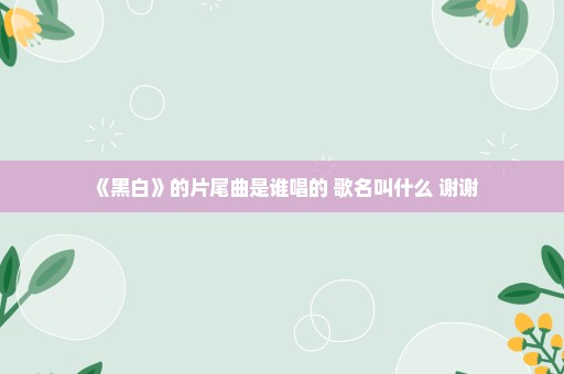 《黑白》的片尾曲是谁唱的 歌名叫什么 谢谢