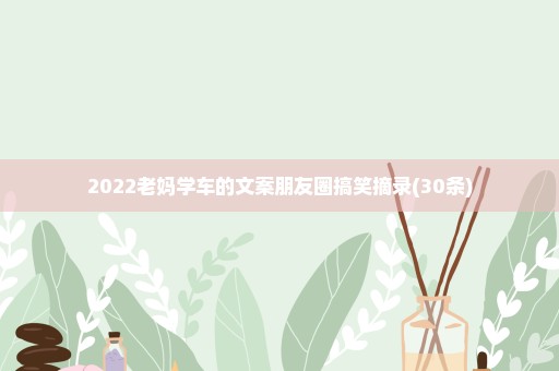 2022老妈学车的文案朋友圈搞笑摘录(30条)