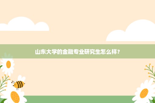 山东大学的金融专业研究生怎么样？